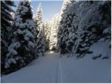 Zgornji Goreljek - Planina Zajamniki